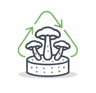 Gourmet and medicinal mushroom substrates